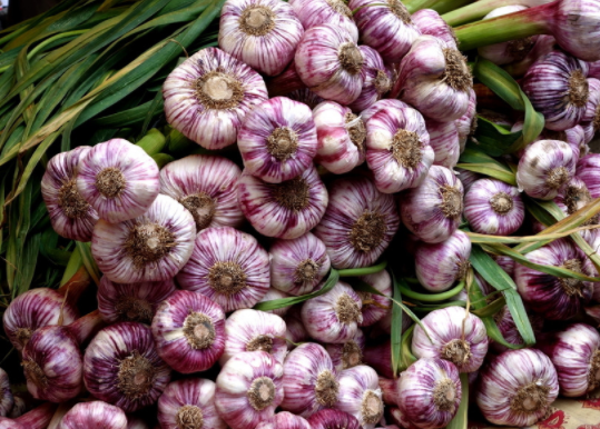 Chinese fresh garlic