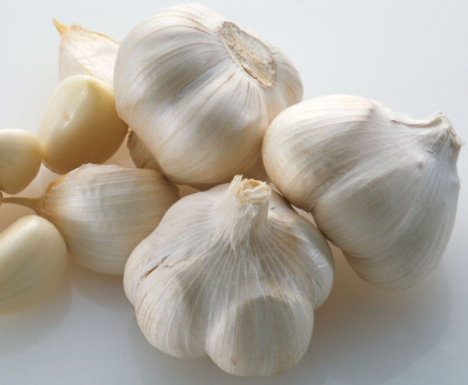 Chinese garlic