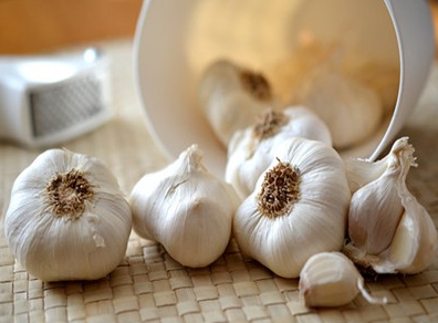 Garlic suppliers in China